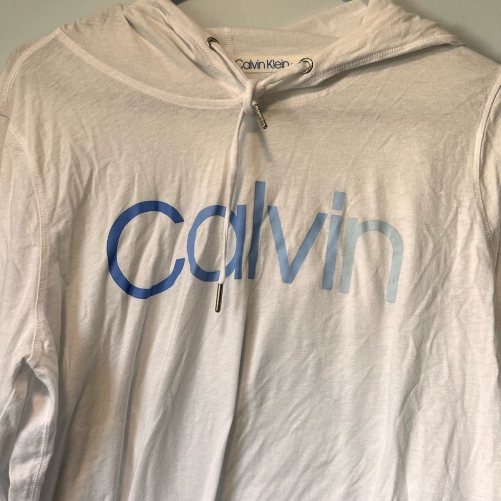 calvin thin hoodie
